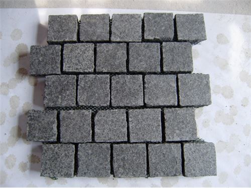 Paving On Mesh5.png